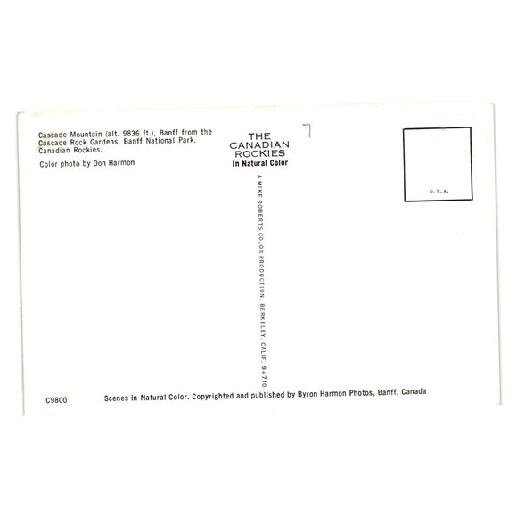 Vintage Canadian Rockies Postcard Cascade Mountain Banff National Park Flowers - Picture 2 of 2